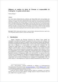 Diligenceenmatirededroitsdelhommeetresponsabilitdelentreprise