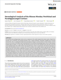 Stereological-Analysis-of-the-Rhesus-Monkey-Perirhinal-and-Parahippocampal-Cortices.pdf