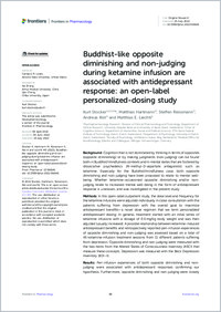 Buddhist-like-opposite-diminishing-and-non-judging-during-ketamine-infusion-are-associated-with-antidepressant-response-.pdf